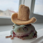 EatToiletPaper's Avatar'