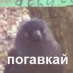 Jetisblak's Avatar'