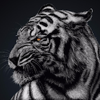 smxllwoodini's Avatar'