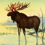 sovietMoose's Avatar