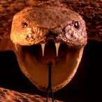 Viper-2467's Avatar'