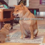 yuilef1234's Avatar'