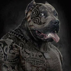 PiTbullos's Avatar
