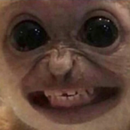 BUTTD3STR0Y3R's Avatar'