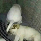 PleaseBeLegal's Avatar'