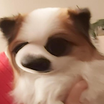 bruh_momento_69's Avatar'