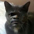 AceMemeLord420's Avatar'