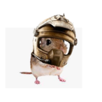ValiantGerbil42's Avatar'