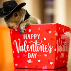 SlimySquirrle47's Avatar'