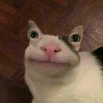 G00dB0y4M0mmy's Avatar'