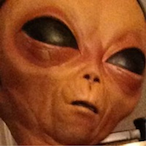 LilMayoBoi's Avatar'