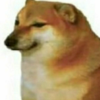 AggressiveBag's Avatar'