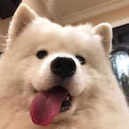 ydna_'s Avatar'