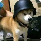 swingifurafemboy's Avatar'