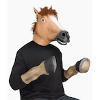 Turtlemeats's Avatar'