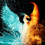 NightHawck817's Avatar'