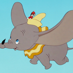 Kimregular's Avatar'