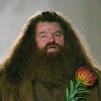 CarryedByPotter's Avatar'