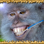 zxnetex's Avatar'