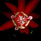BenJammin2's Avatar'