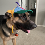 TikoMyster's Avatar'