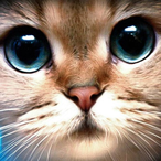 judarra's Avatar'
