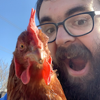 BlindLazyNinja's Avatar'