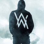 AAlan_walker's Avatar'