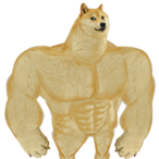HeFtIg_FsN_'s Avatar'