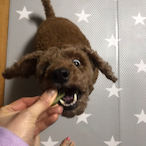 temp-749611420's Avatar'