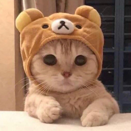 BonksR6