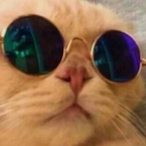 TheCatnipAddict's Avatar'