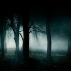 ComeToTheWoods's Avatar'