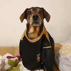 LaRush.REH's Avatar'