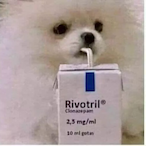 RidullsFan67's Avatar'
