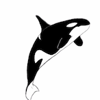 KiLA-WHALE's Avatar'