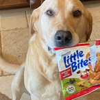 CookieMonstr417's Avatar'