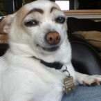 ImA0xRobot's Avatar'