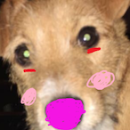 polkipower.RIP's Avatar'