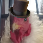 DOCTOR_DUMPY's Avatar'