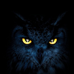 Zorro631's Avatar'
