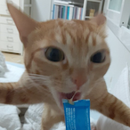 Hell_FATCAT's Avatar'