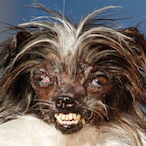 BelzebuXYZ's Avatar'