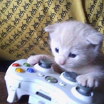 premoted's Avatar'