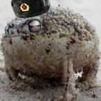 BigD1ccTachanka's Avatar'