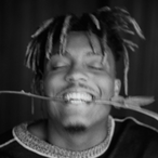 WhatsALapTop's Avatar'