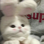 Yoda_With_Soda's Avatar'