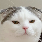 MMarshmallows's Avatar'