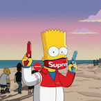 BrazilianBucket's Avatar'