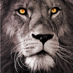 GRRowl74's Avatar'